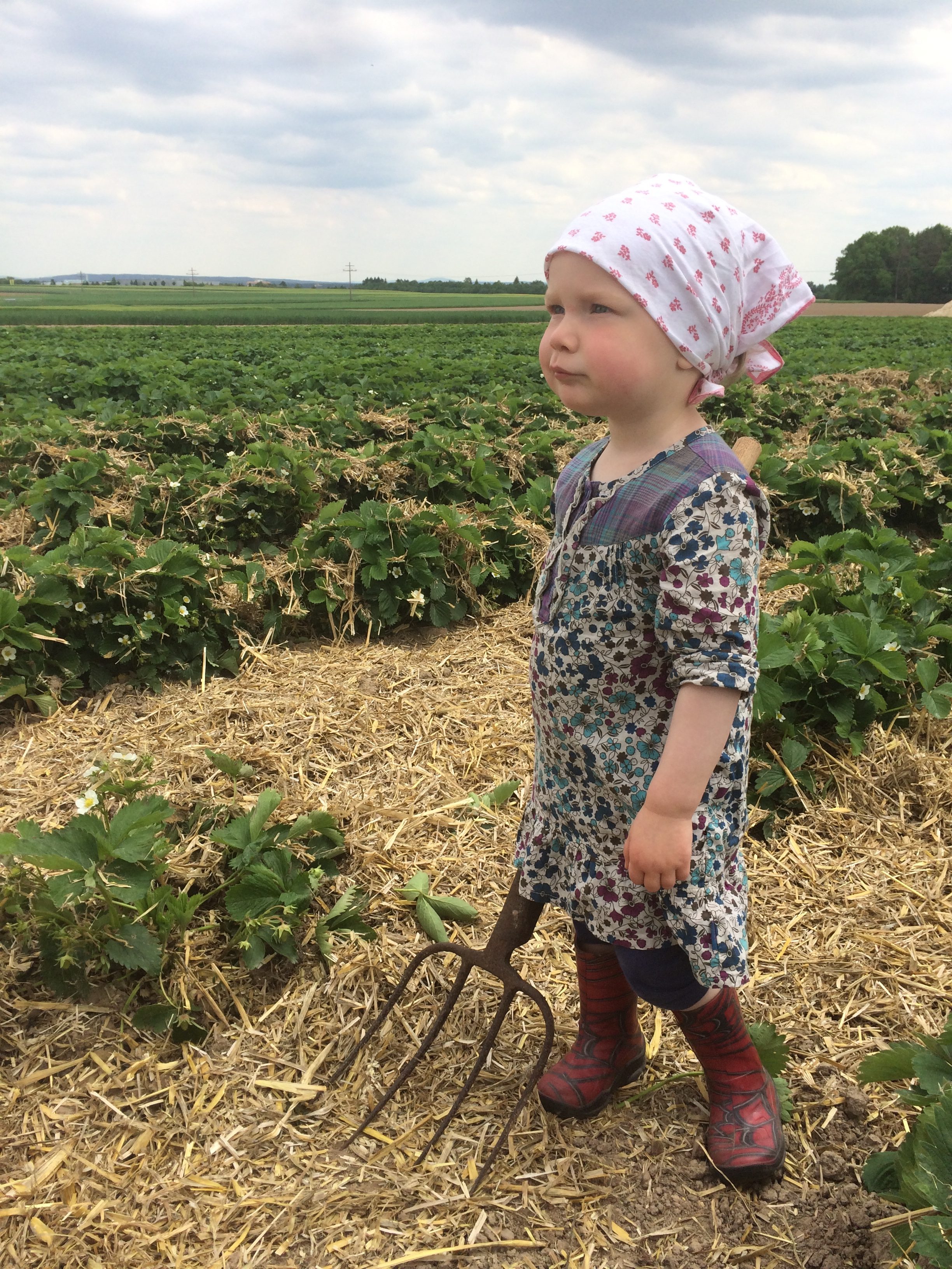 Jungbäuerin bei der Arbeit | Erdbeeren-Schaufler.de